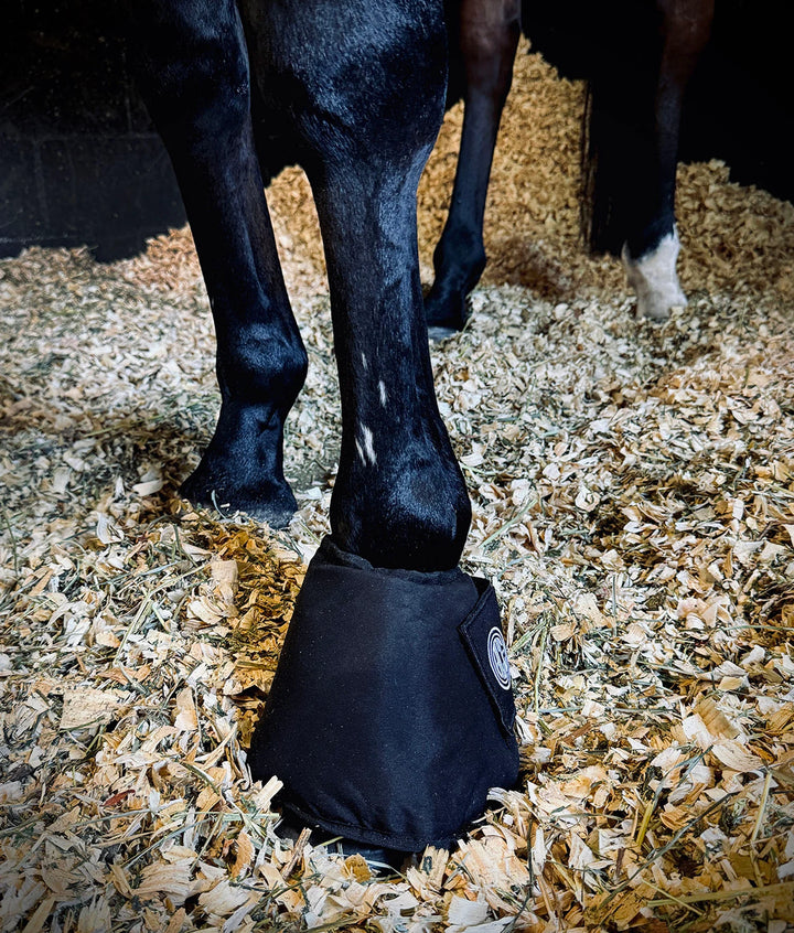 Ace Equestrian Kold Feet Ice Boots