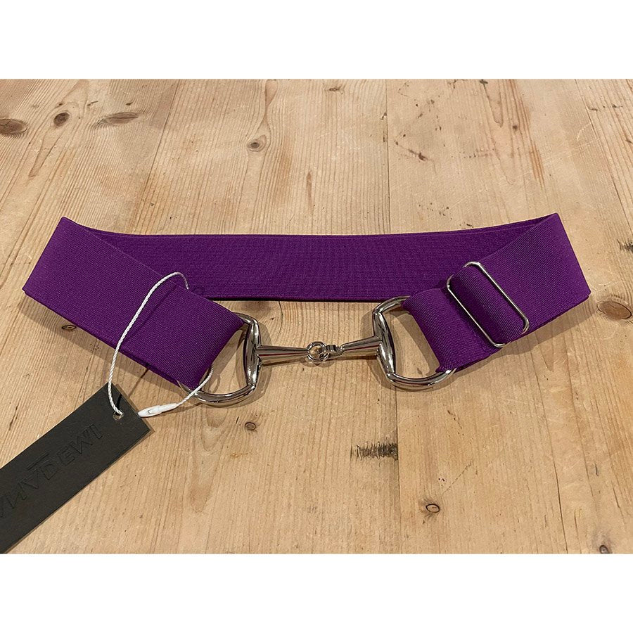 Anademi Silver Bit Stretch Belt