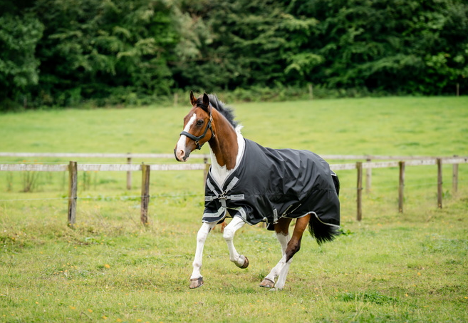 Amigo 1200D Turnout 250g