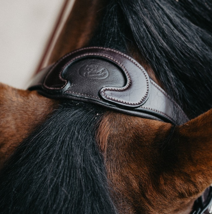 Jump 'In EVOLUTION Flash Noseband Bridle