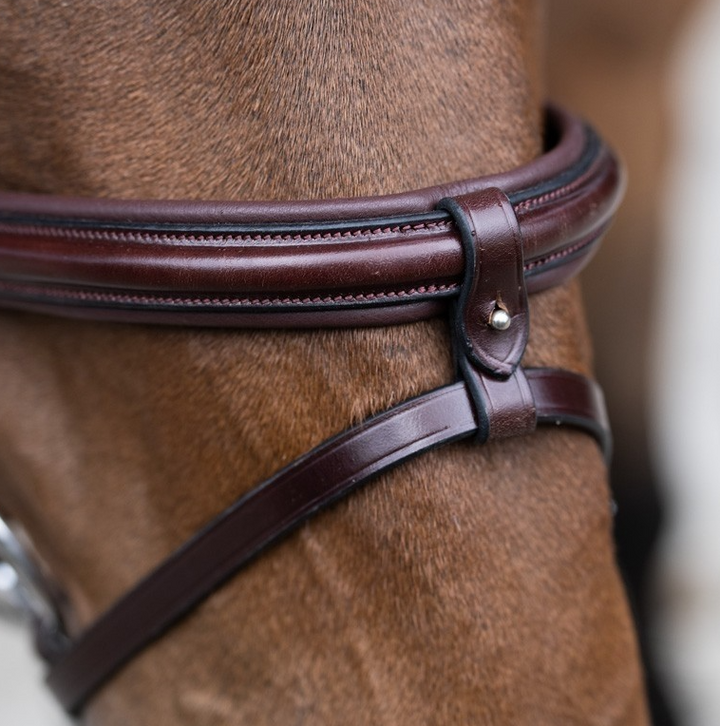 Jump 'In EVOLUTION Flash Noseband Bridle