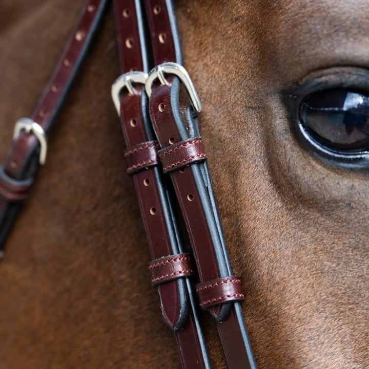 Jump 'In EVOLUTION Flash Noseband Bridle