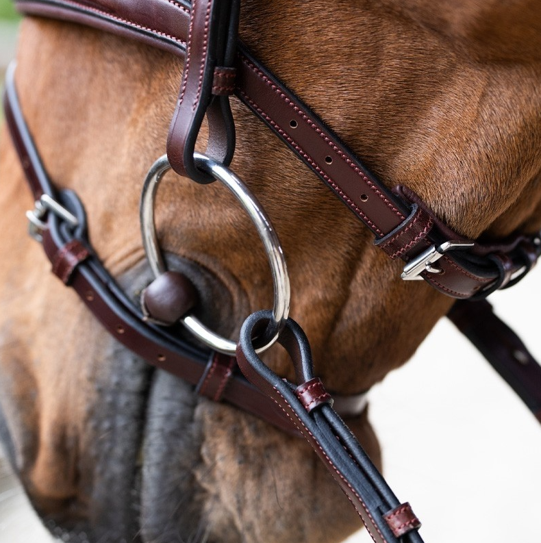 Jump 'In EVOLUTION Flash Noseband Bridle