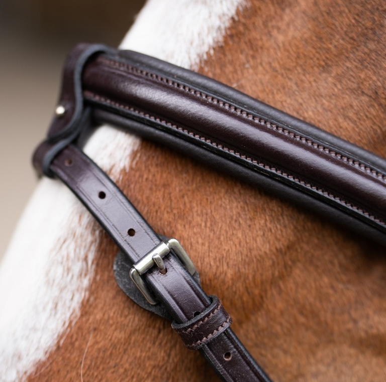 Jump 'In EVOLUTION Flash Noseband Bridle
