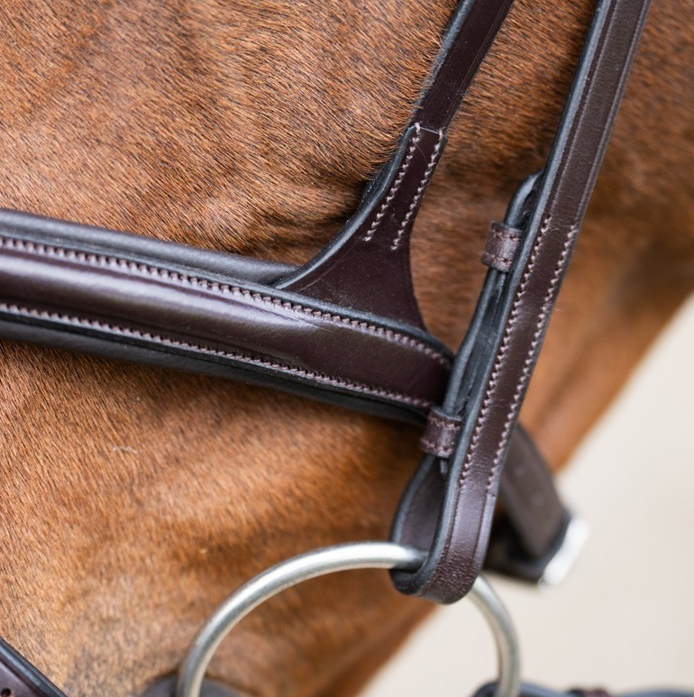 Jump 'In EVOLUTION Flash Noseband Bridle