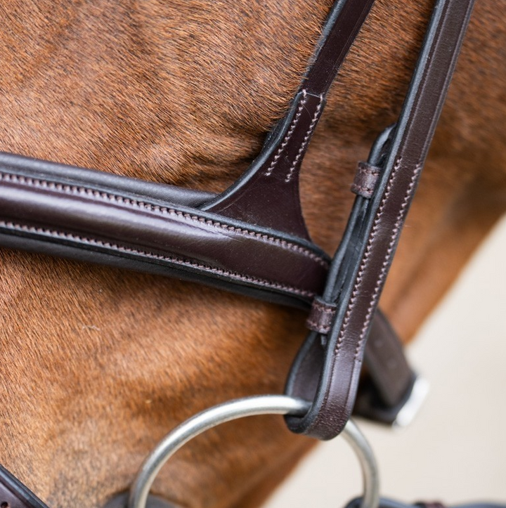 Jump 'In EVOLUTION Flash Noseband Bridle
