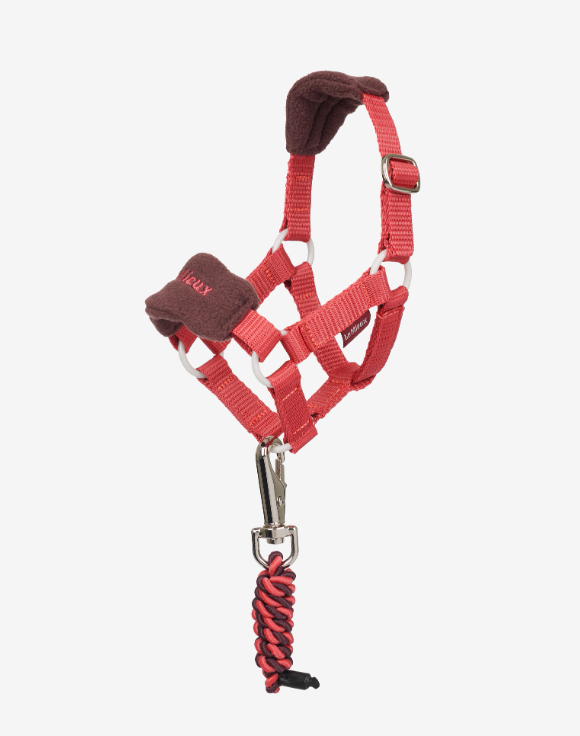 Lemieux Toy Pony Vogue Headcollar