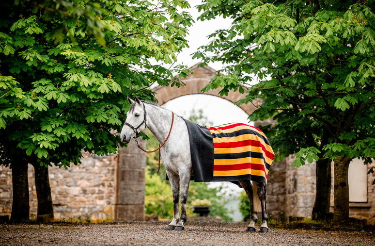 Horseware Newmarket Fleece