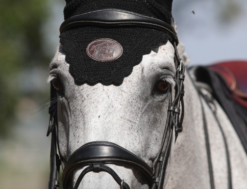 Jump'In One Collection Brussels Bridle with Reins