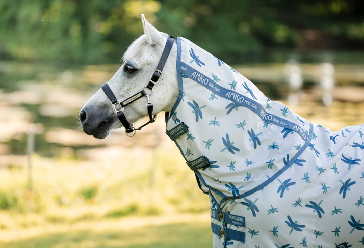 Amigo Bug Rug Plus Fly Sheet - Pony
