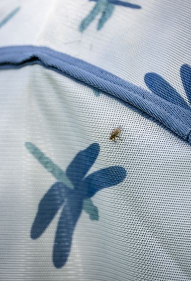 Amigo Bug Rug Plus Fly Sheet