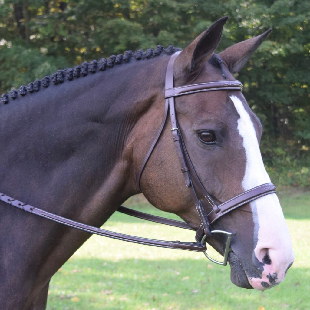 Kl Select Black Oak Spruce Bridle F/S