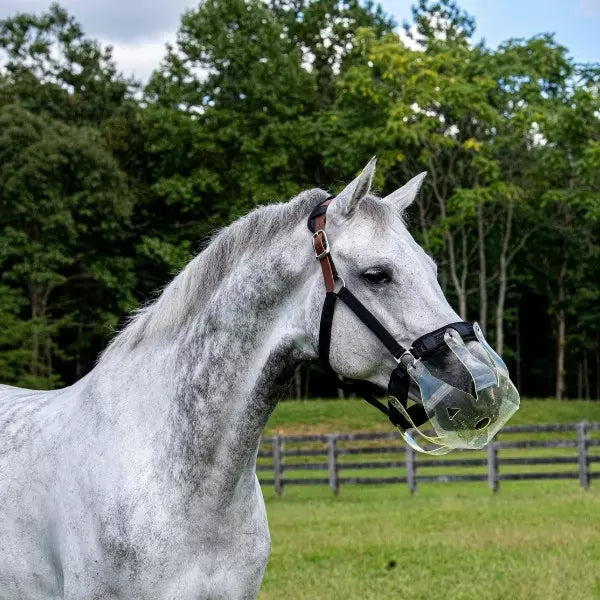 Thin Line Flexible Filly Slow Feed Grazing Muzzle 2.5cm