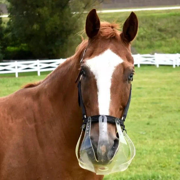 Thin Line Flexible Filly Slow Feed Grazing Muzzle 2.5cm