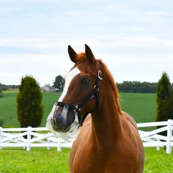 Thin Line Flexible Filly Slow Feed Grazing Muzzle 2.5cm