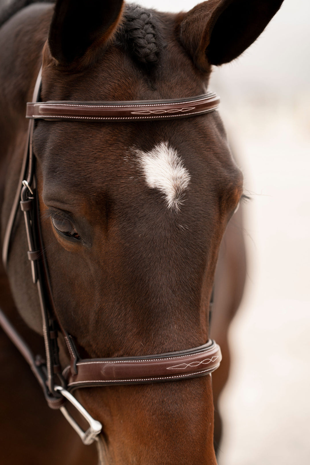 Red Barn Tryon Bridle