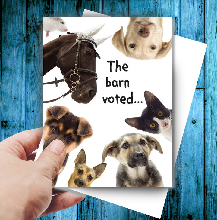 Horse Hollow Press - Horse Funny Birthday Card: the Barn Voted...(yes, You're Old