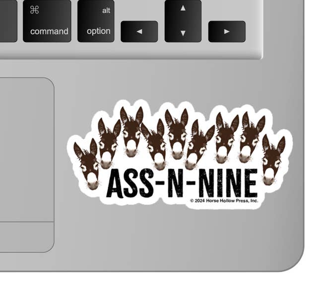 Horse Hollow Press - 3" Waterproof ASS-N-NINE Funny Donkey Sticker