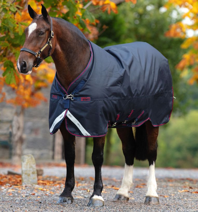 Amigo Bravo 12 Extra Large (XL) Turnout Blanket, Lite Weight (0g Light)