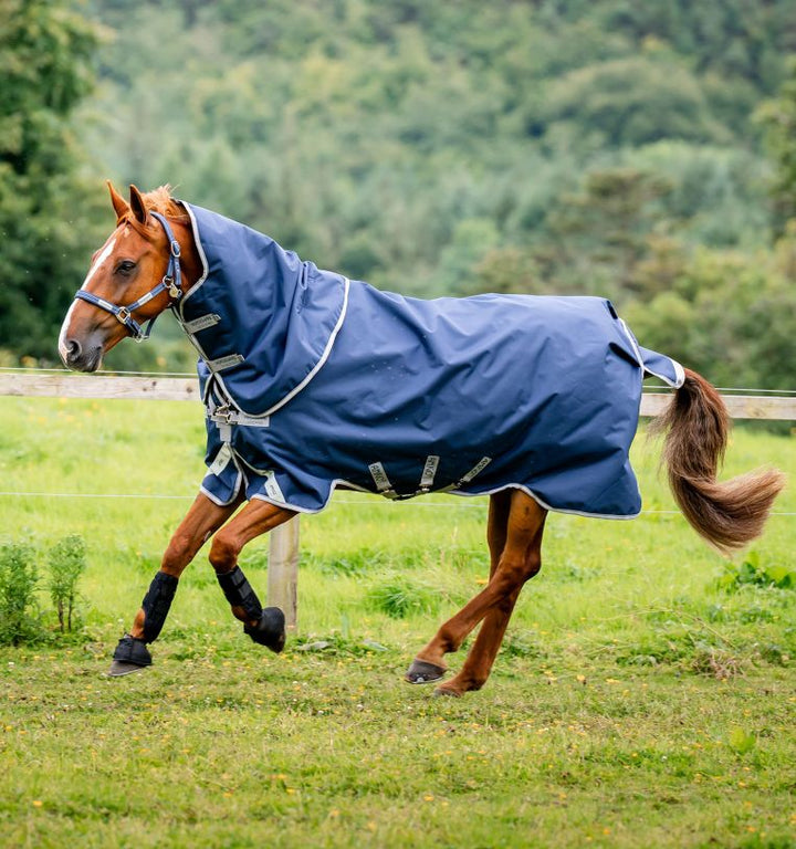 Amigo Bravo 12 Plus Turnout Blanket, Medium Weight (250g Fill)