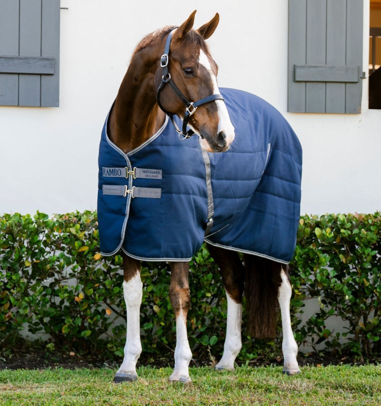 Rambo Stable Blanket 200g - Embossed Lining – The Tack Shop of Lexington