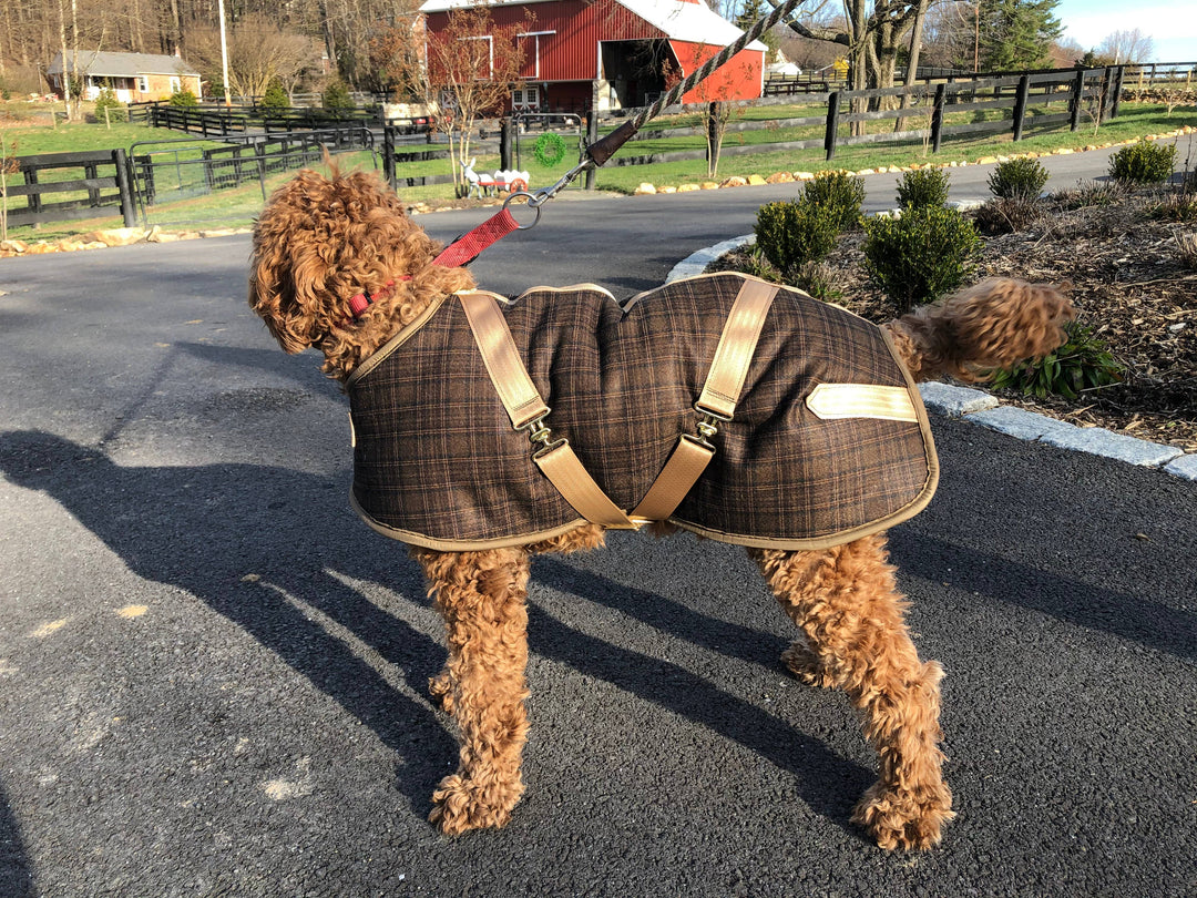 Foggy Mountain Plaid Turnout Dog Coats
