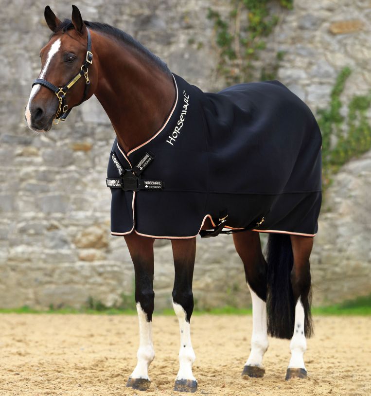 Lex Rambo Rambo Airmax Cooler with Disc Front Closure – The Tack Shop of Lexington