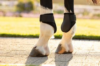 LeMieux Arika Fetlock Boots