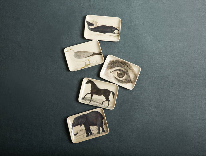 Siren Song - Stallion Valet Tray