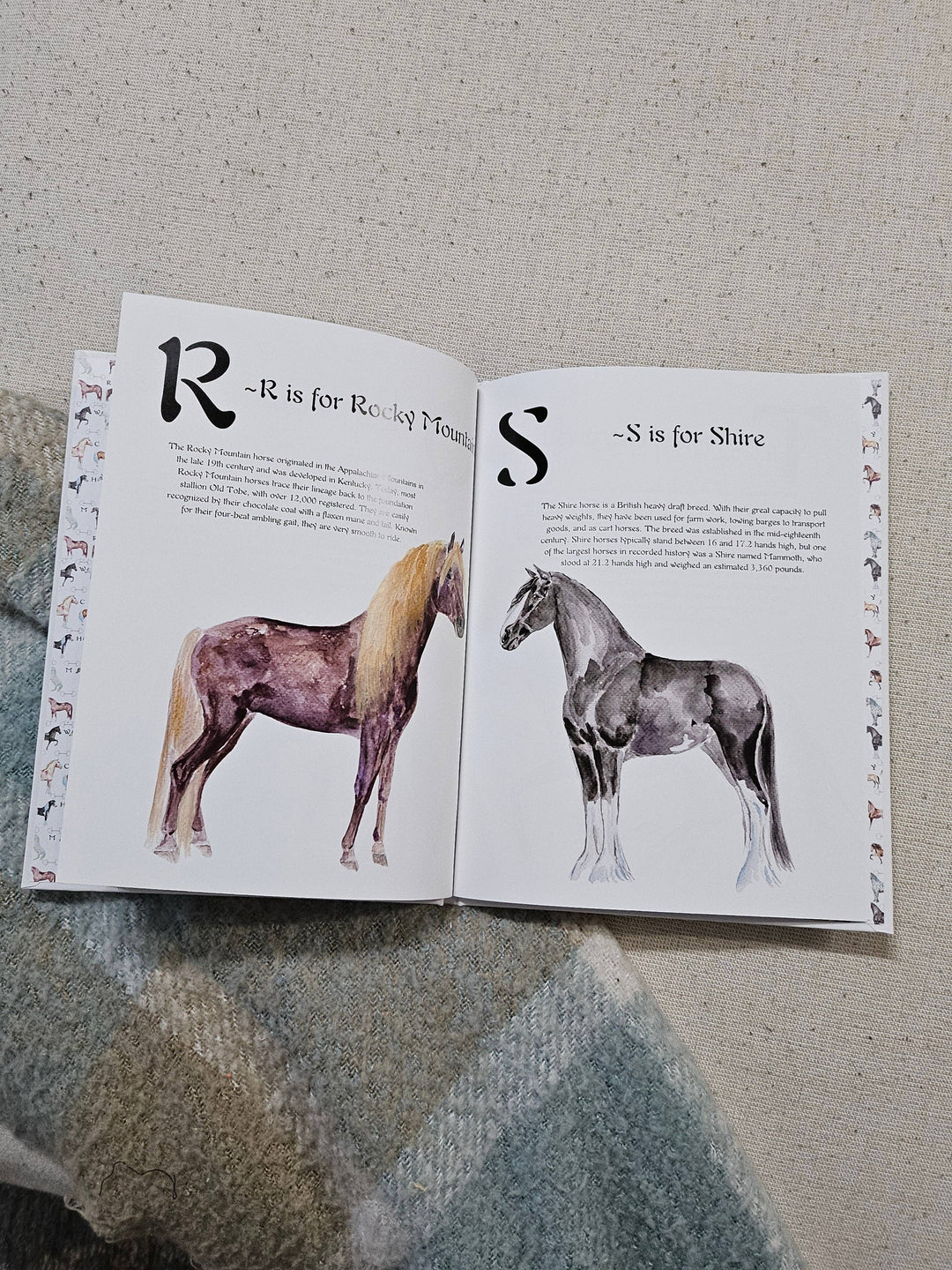 Sona Equestrian - ABC Horse Breeds Book