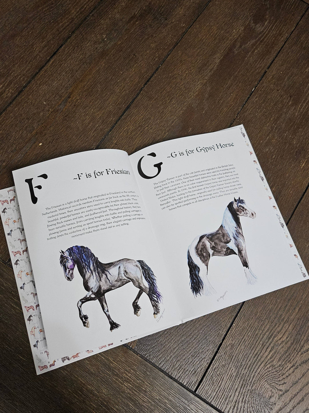 Sona Equestrian - ABC Horse Breeds Book