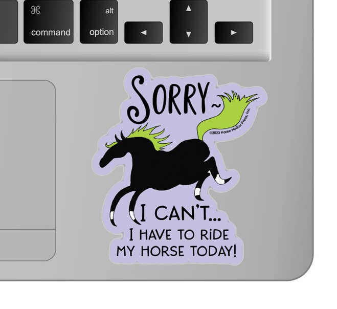 Horse Hollow Press- Horse Sticker Waterproof 3" I can't Horses