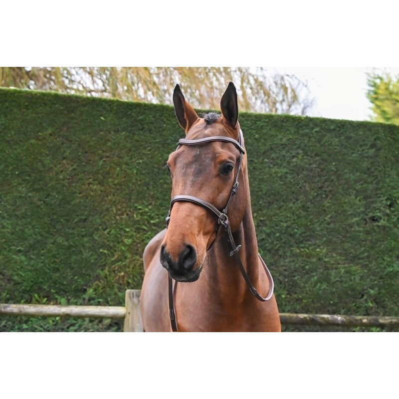 Jump'In One Bitless Bridle