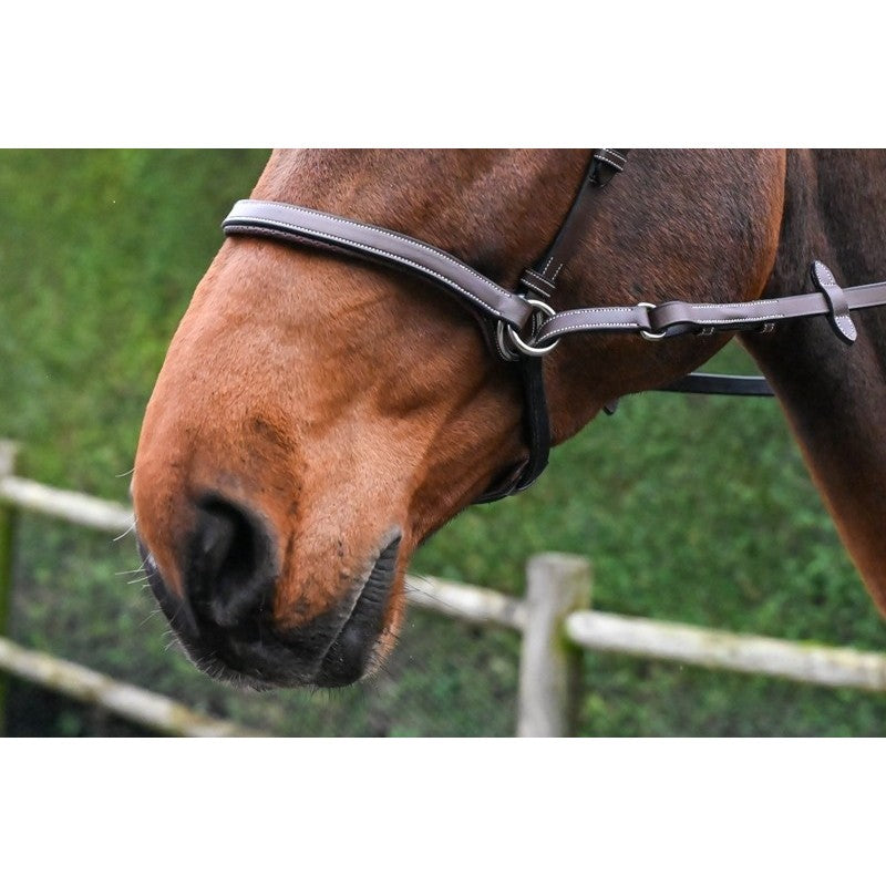 Jump'In One Bitless Bridle