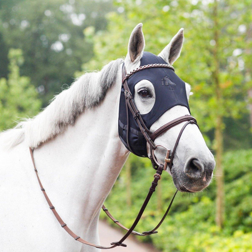 Fenwick Titanium Mask