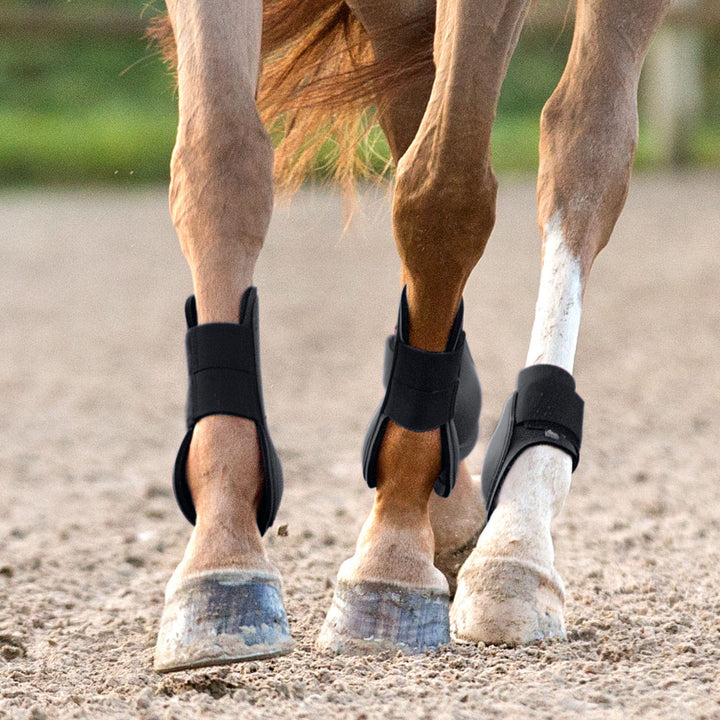 Equinavia Chicago Tendon Open Front Horse Boots