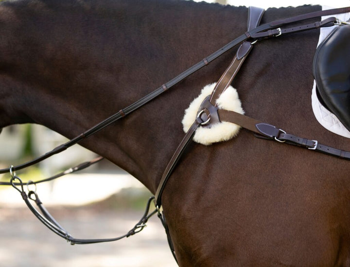 Black Oak 5-Point Breastplate