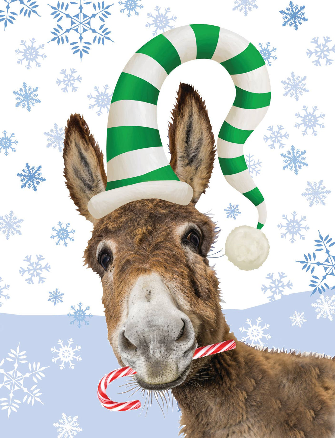 Horse Hollow Press Donkey Christmas Card