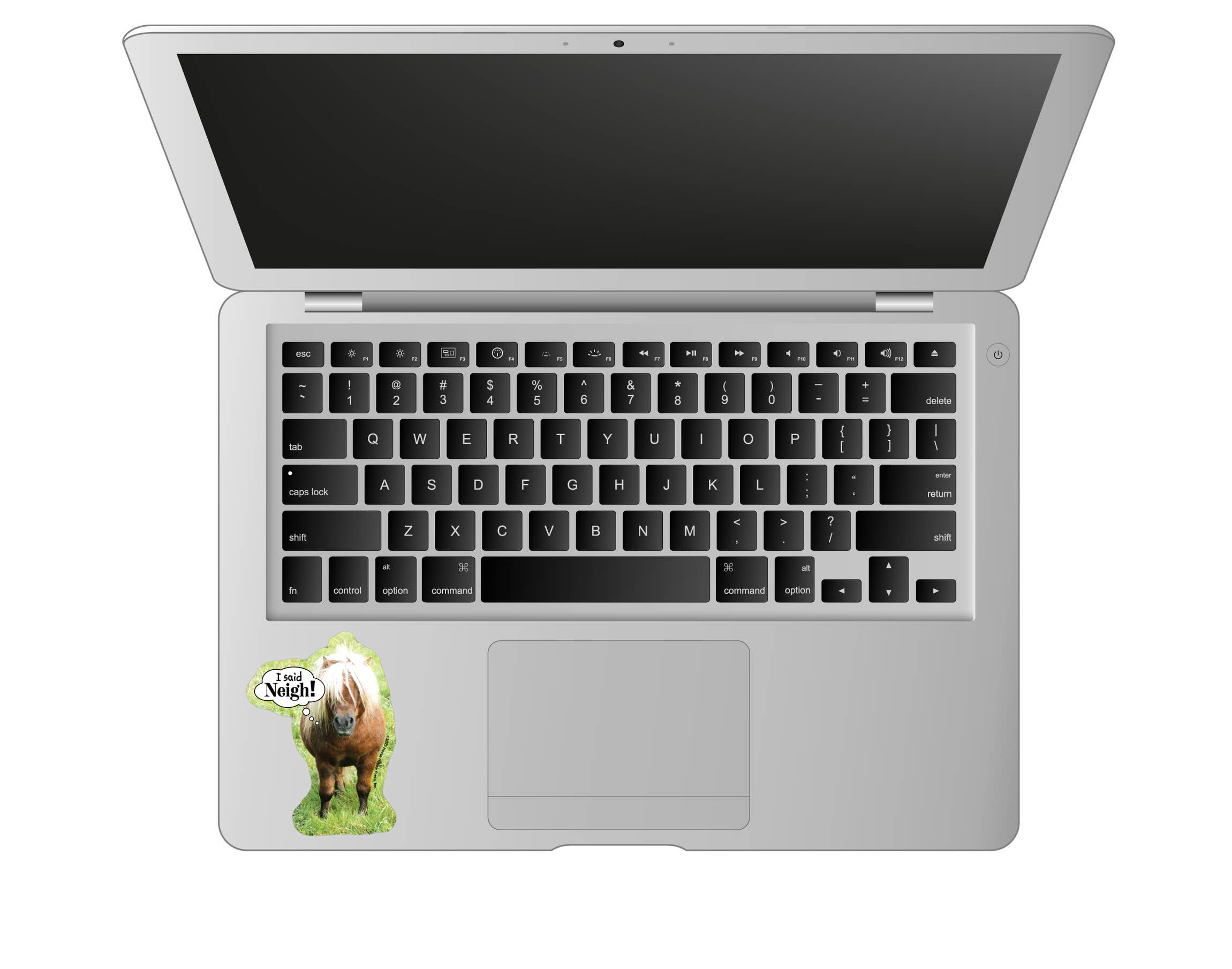 Horse Hollow Press - I Said NEIGH! Mini Horse Funny Sticker 3" Waterproof