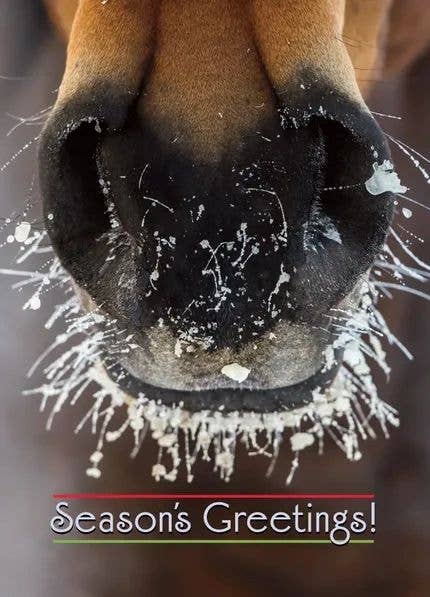 Horse Hollow Press - Horse w/ Frosty Muzzle Christmas Card