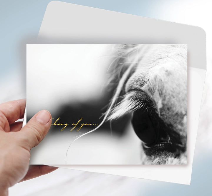 Horse Hollow Press - Horse Sympathy Greeting Card / Thinking of You