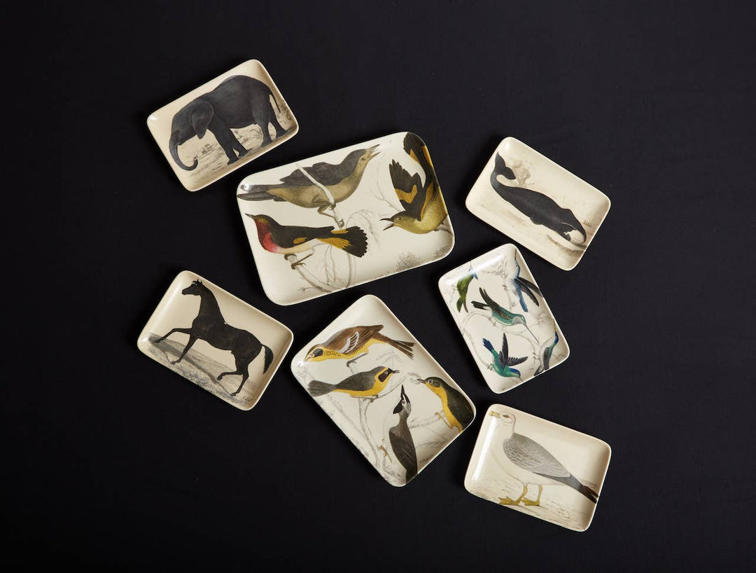 Siren Song - Stallion Valet Tray