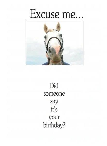 Horse Hollow Press - Horse Greeting Birthday Card / Excuse Me / Funny