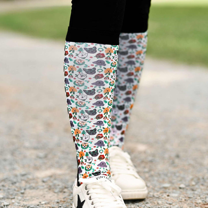 Dreamers & Schemers Deck the Paws Pair & A Spare Socks