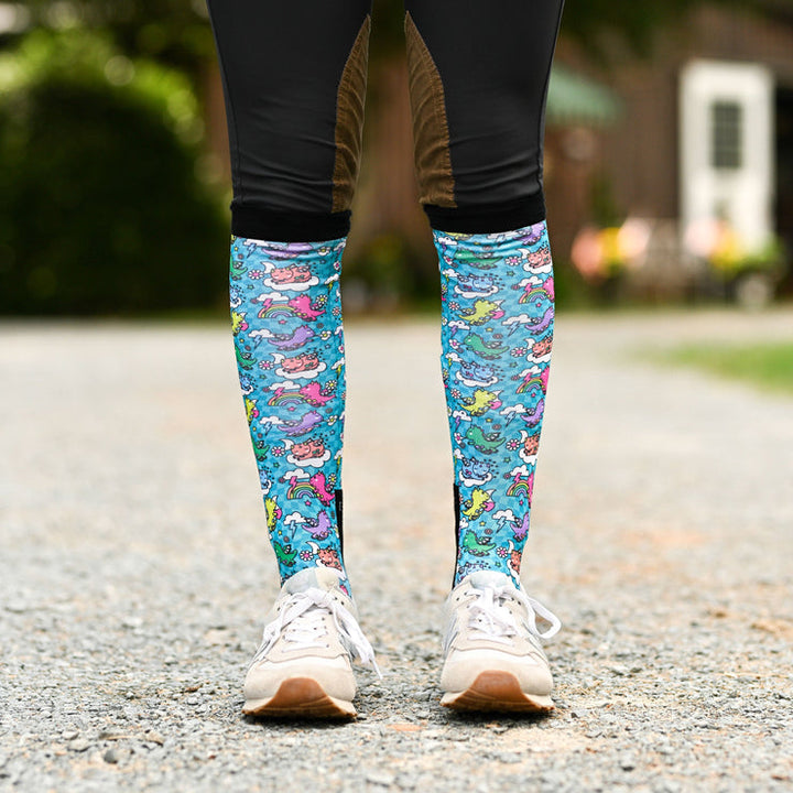 Dreamers & Schemers Dragon Dreams Pair & A Spare Socks