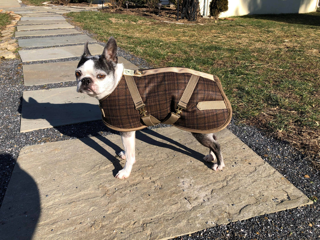 Foggy Mountain Plaid Turnout Dog Coats