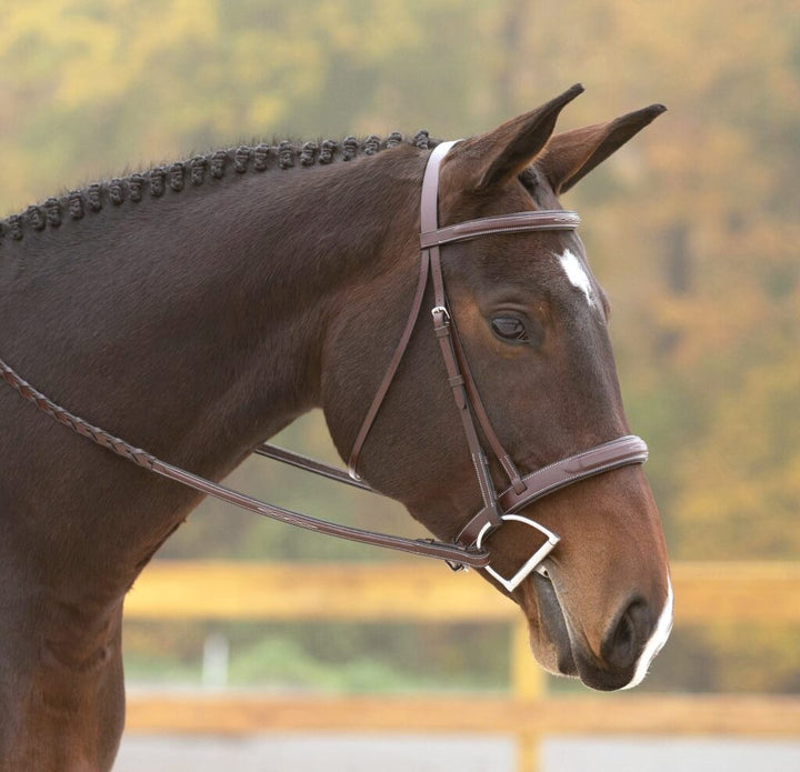 Red Barn Tryon Bridle