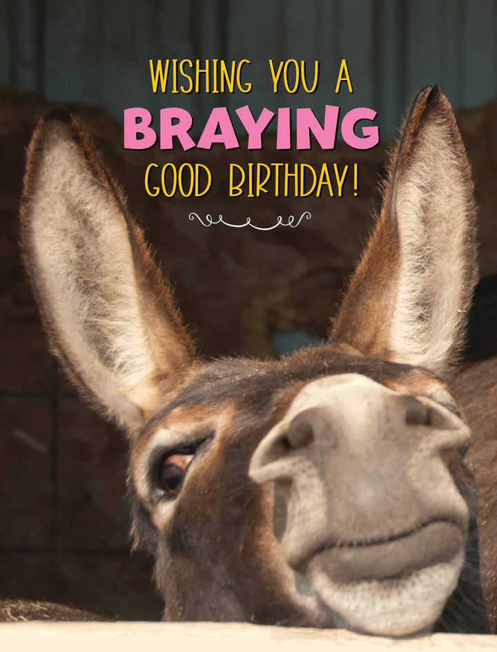 Horse Hollow Press - Donkey Greeting Birthday Card / Braying Good Birthday / Cute