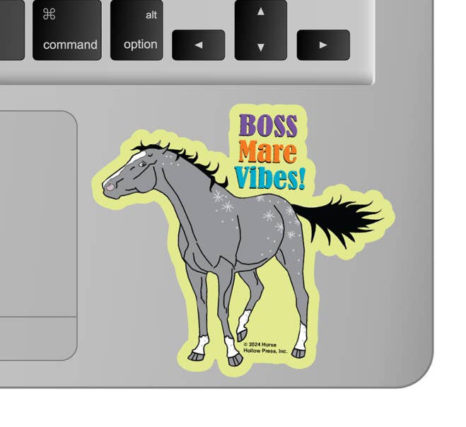 Horse Hollow Press - 3" Waterproof Boss Mare Vibes Funny Horse Sticker