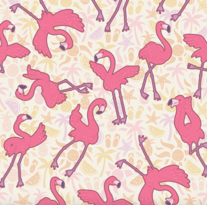 Dreamers & Schemers Flamingo Dance Pair & A Spare Socks